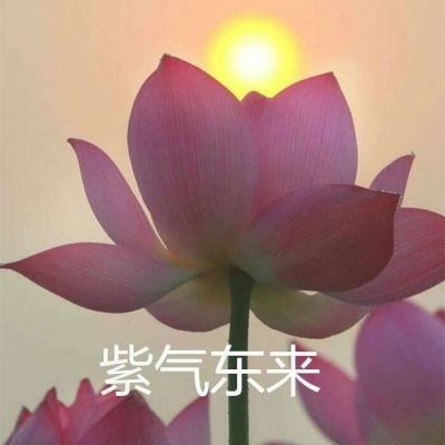 移动绝地大作战手游下载